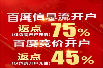 某零售业SEM策略调整，实现销售业绩大增