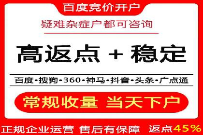 成功企业SEM竞价代运营案例研究